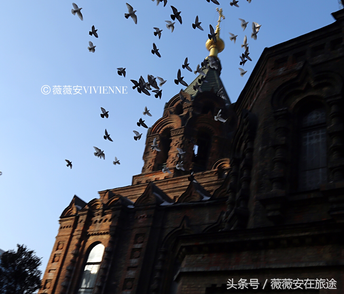 北国冰城之旅,奔赴冰城哈尔滨感受北国浪漫