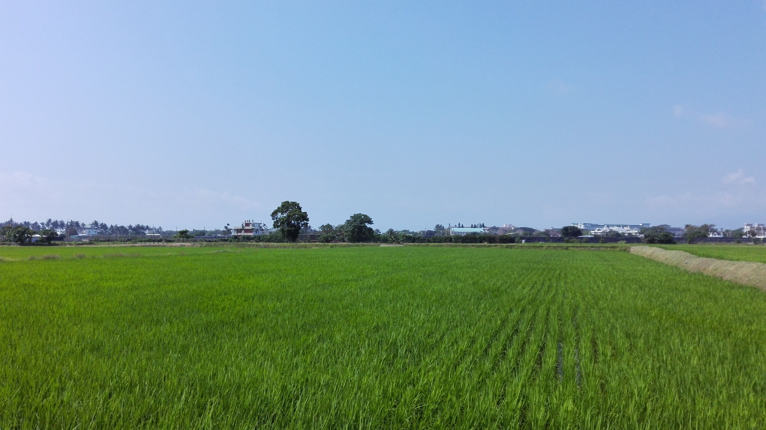 知本温泉介绍,台湾知本温泉酒店攻略