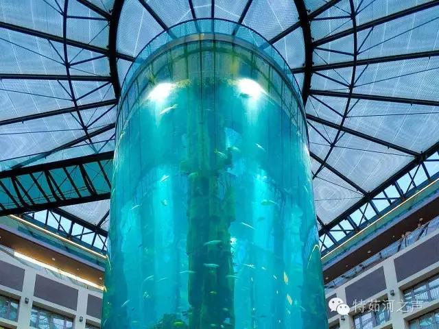 全球最漂亮的海上餐厅,全球十大最美海边餐厅