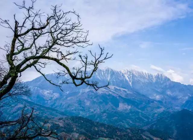 世界双遗峨眉山,双遗马拉松青城山免票吗