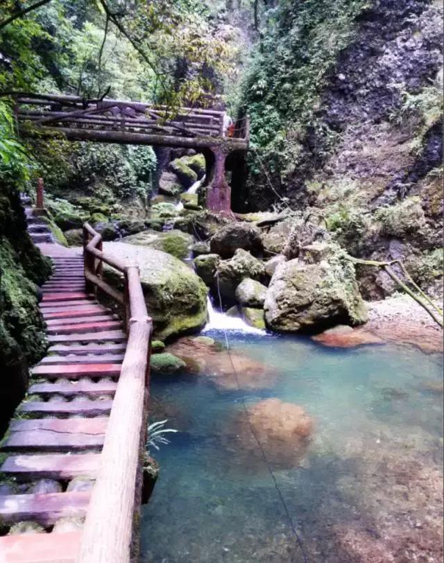 世界双遗峨眉山,双遗马拉松青城山免票吗