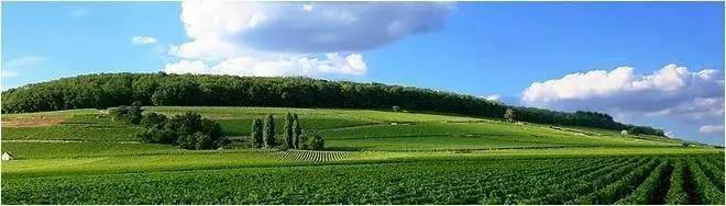 潮菜贵的原因,为什么潮菜那么出名