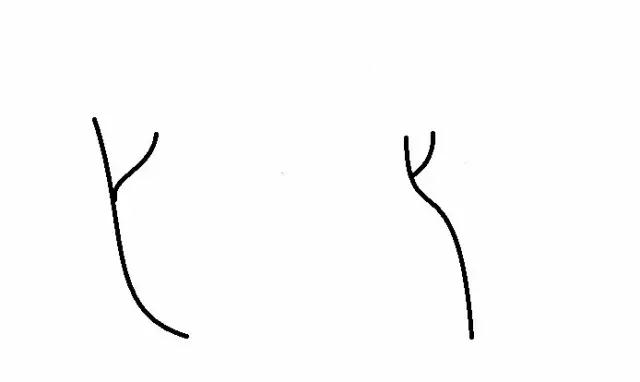 头发干燥打结分叉用哪些精油最好,头发干燥分叉打结推荐什么护发素