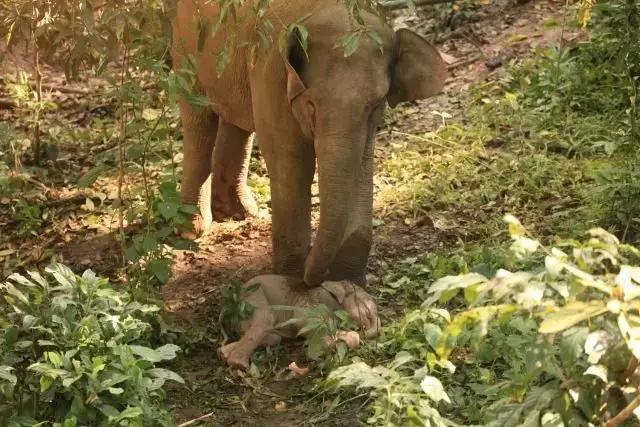 干货分享必读,干货探索与分享