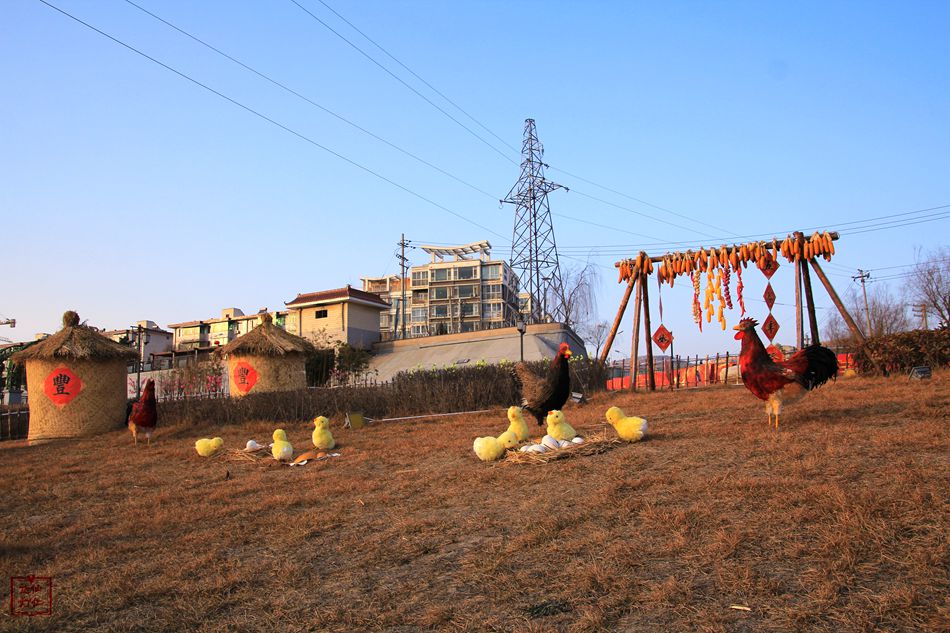 天水麦积区翠湖镇,甘肃天水麦积区翠湖