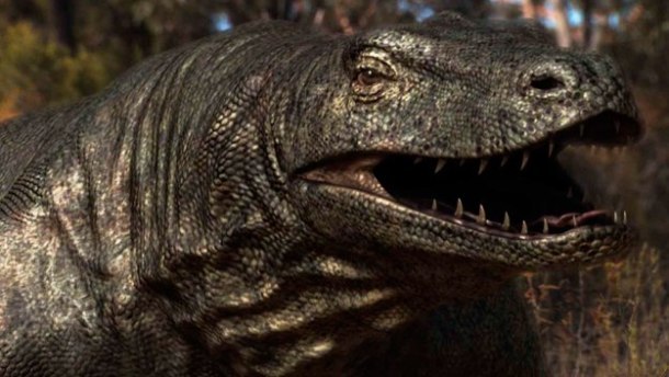 世界上已灭绝的23种动物,已经灭绝的10种巨型动物