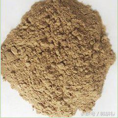 脂肪肝能喝板蓝根颗粒吗,绿豆粉与板蓝根粉能治疗脂肪肝吗