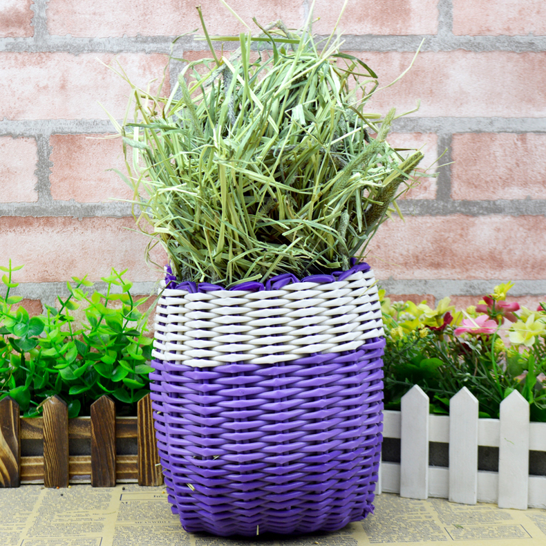 龙猫饲养技术书籍,龙猫饲养空间布置