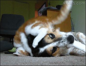 当你交往了一个非常调皮的女朋友，生活将会变成这样