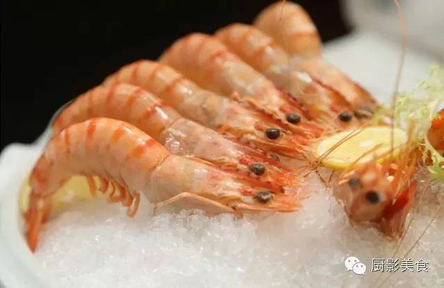 虾和海参哪个营养价值高,虾和鲍鱼哪个营养价值高