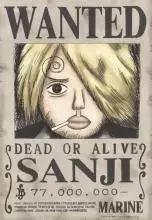 海贼王里的冷知识路飞不吃什么,关于海贼王的100冷知识