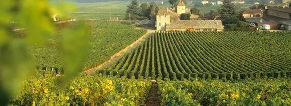 潮菜贵的原因,为什么潮菜那么出名