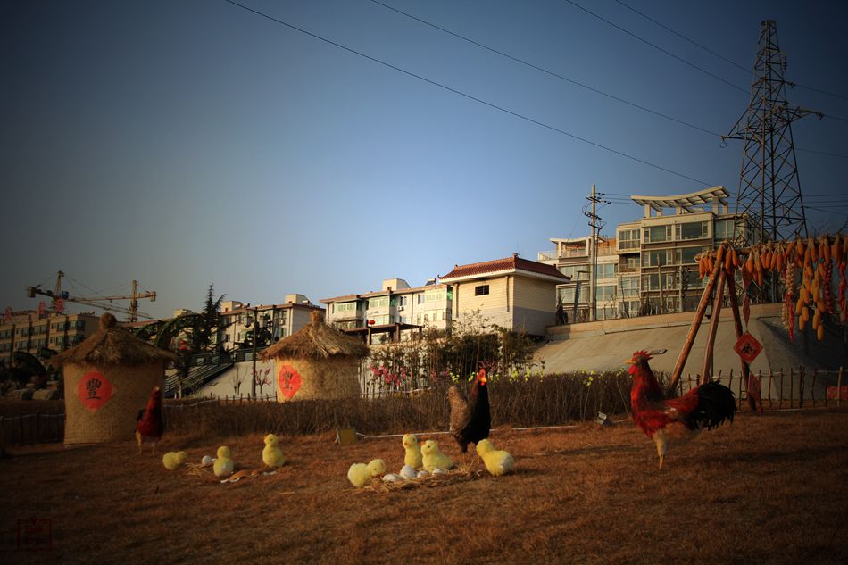 天水麦积区翠湖镇,甘肃天水麦积区翠湖