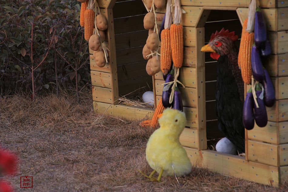 天水麦积区翠湖镇,甘肃天水麦积区翠湖