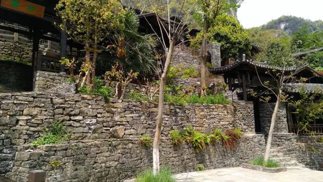 宜昌三峡恩施神农架武当山旅游团,宜昌三峡恩施