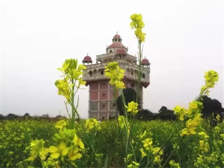 元旦北海好玩的地方,春节去北海还是去西双版纳好玩