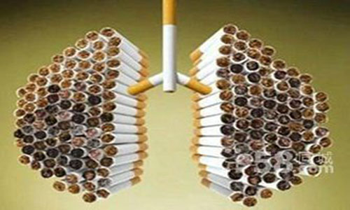 秋季养肺食物科普,预防身体疾病吃什么最好