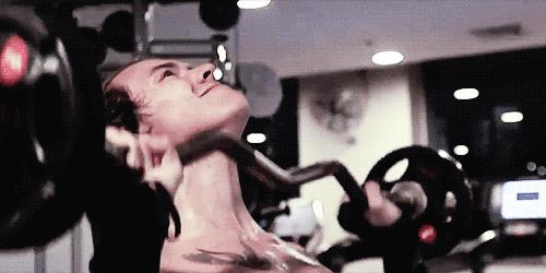 新手健身该如何从零开始锻炼肌肉,小白拳击肌肉训练计划