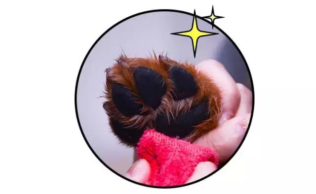 免洗泡沫推荐,免洗泡沫