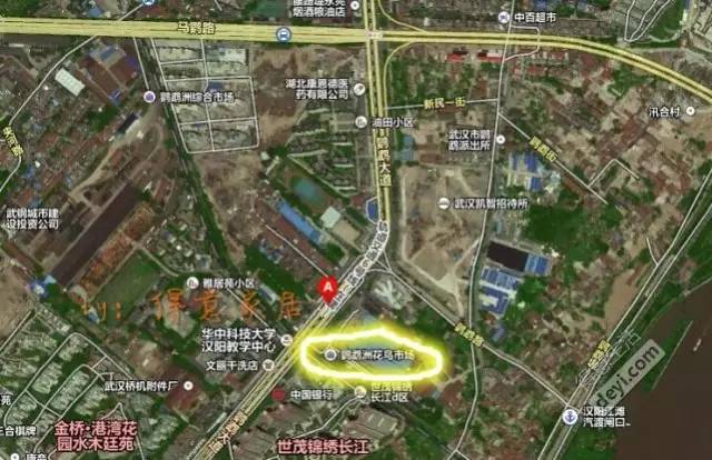 武汉最大的鲜花批发市场,武汉最实惠的鲜花交易市场