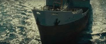 这两只在日本爆火的贱鹦鹉，一定能成为表情包界最火的新网红！