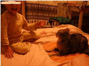 夫妻十个笑话,老公老婆那些幽默的笑话