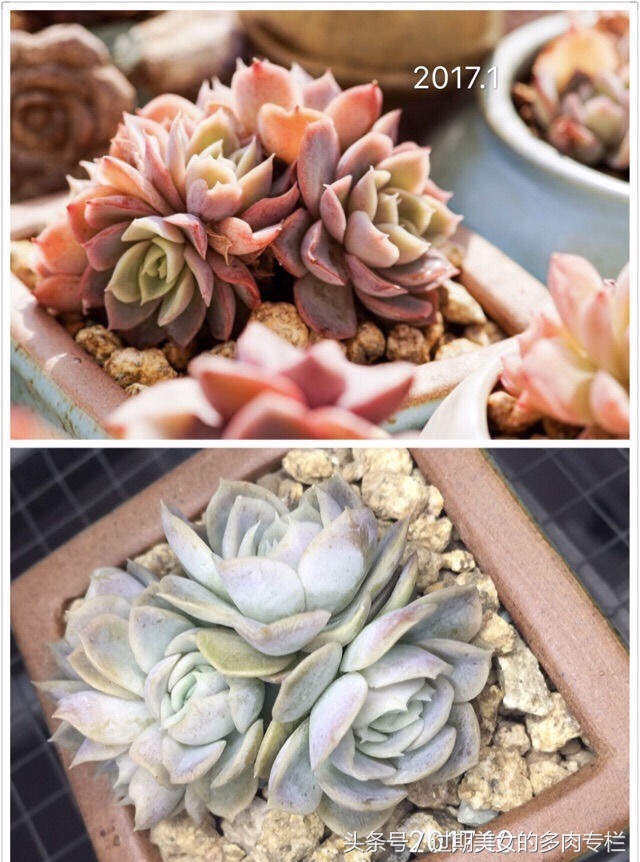 最爱对比图！对比后更惊艳！