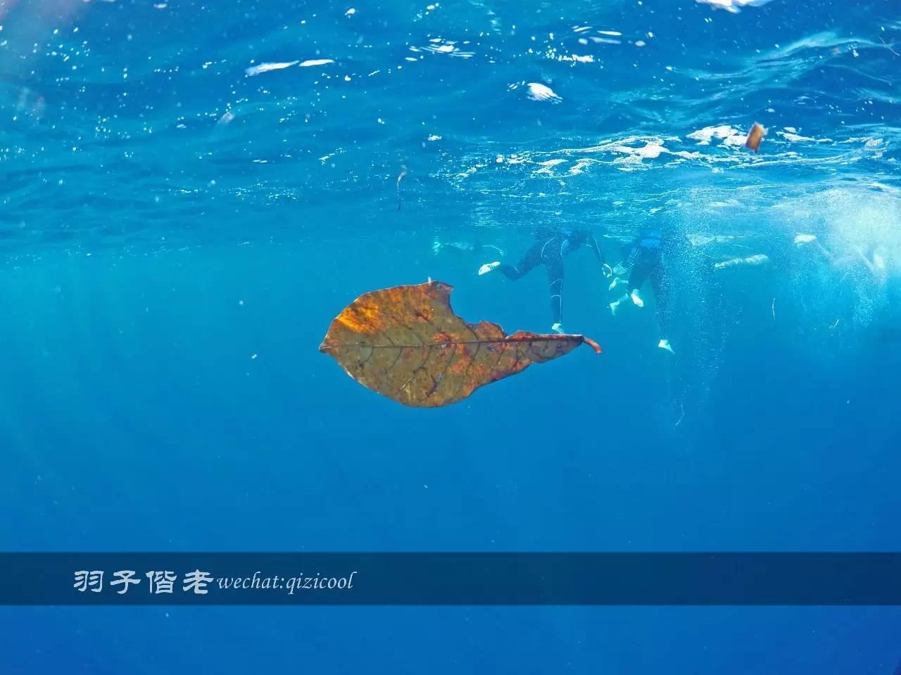 印尼美娜多旅游潜水攻略,印尼美娜多潜水圣地