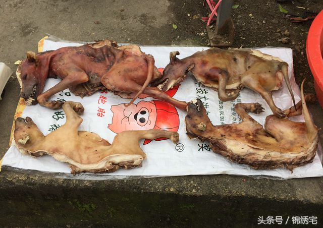 在北方不容易买到的时令蔬菜,这些特色蔬菜你见过吗