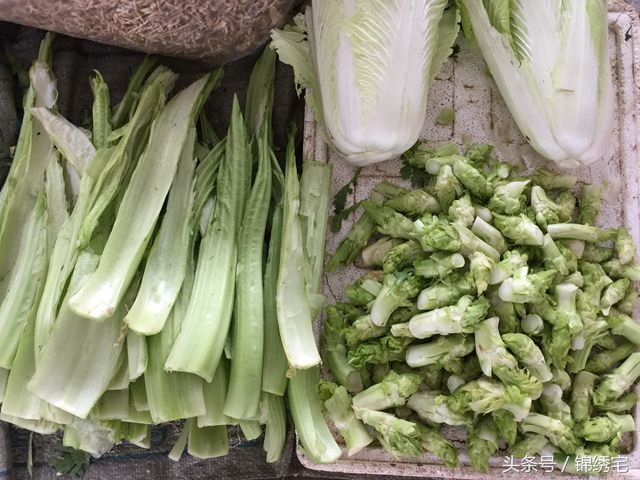 在北方不容易买到的时令蔬菜,这些特色蔬菜你见过吗