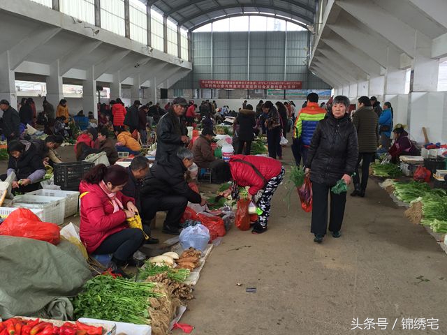 在北方不容易买到的时令蔬菜,这些特色蔬菜你见过吗