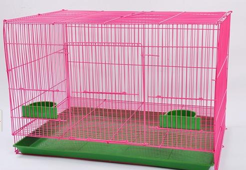 新手养兔子的正确方法,教新手养兔子的视频