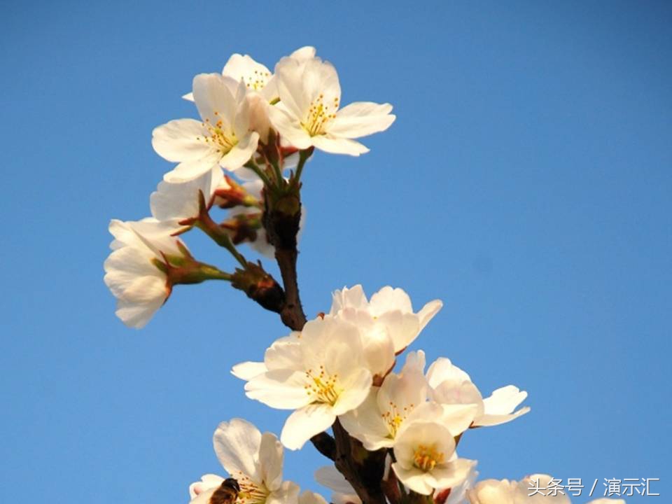 简单易懂的图片处理,图片处理100个技巧