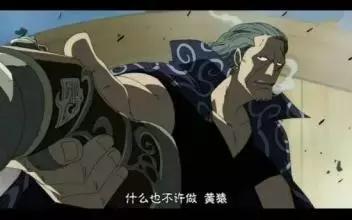 海贼王里的冷知识路飞不吃什么,关于海贼王的100冷知识