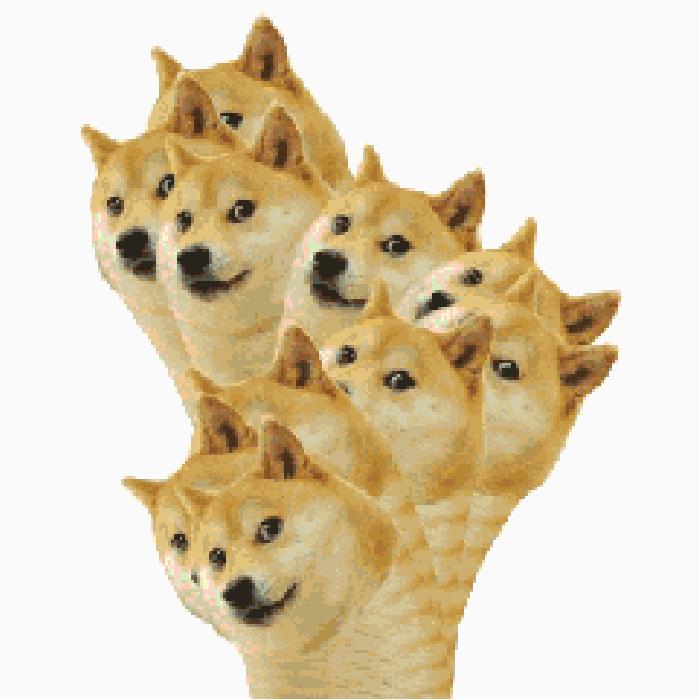 日本海淘攻略2017知乎,日本亚马逊攻略