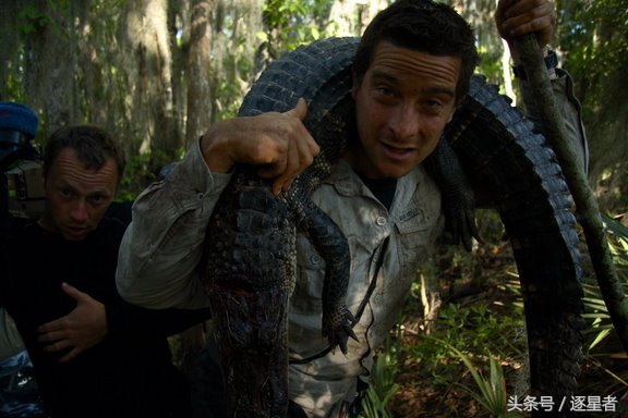 贝爷吃过多少虫子,贝爷吃过的奇怪玩意儿