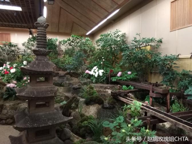 此由志园，非彼幼稚园