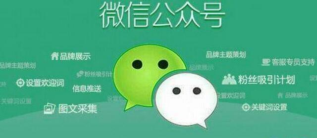 养鸡场的鸡卖不掉怎么办,养殖户养出的鸡怎样联系销路