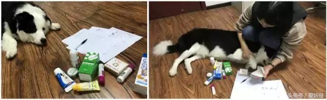 足部走路姿势,一岁宝宝足部正确姿势