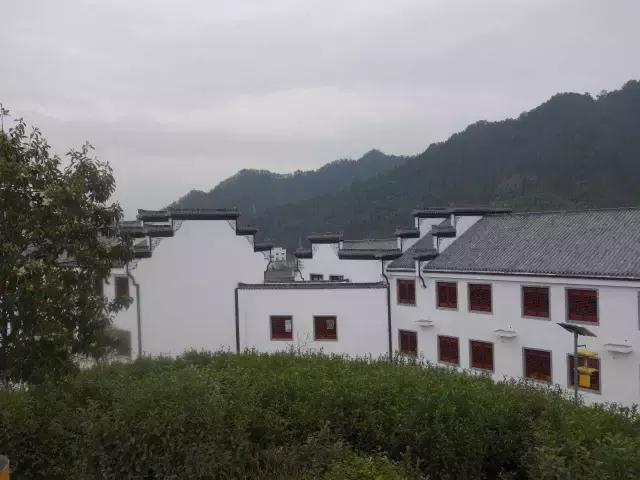 茶产业转型升级的意义,茶产业转型升级的建议