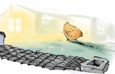 那只小母鸡，你收敛点！是你本命年也不能太过分！