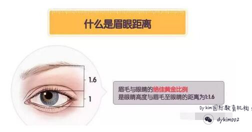 眉毛高好看还是低好看,眉毛低好看还是高好看