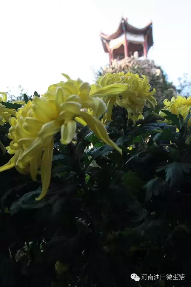 王府山---遗忘的插曲