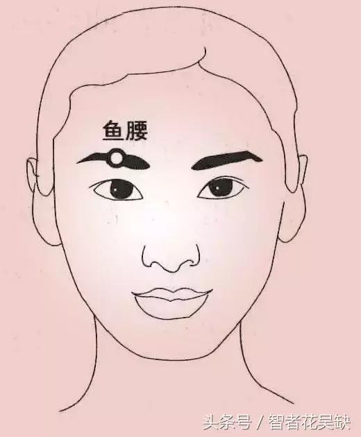 头晕脑胀按摩什么穴位最有效,头部哪些穴位按摩可以缓解头疼