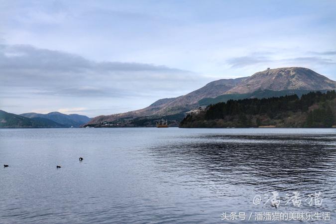 箱根温泉视频,箱根温泉深度解析