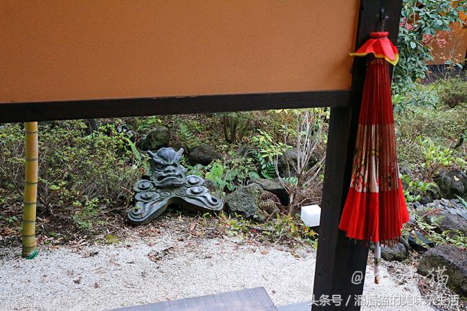 箱根温泉视频,箱根温泉深度解析