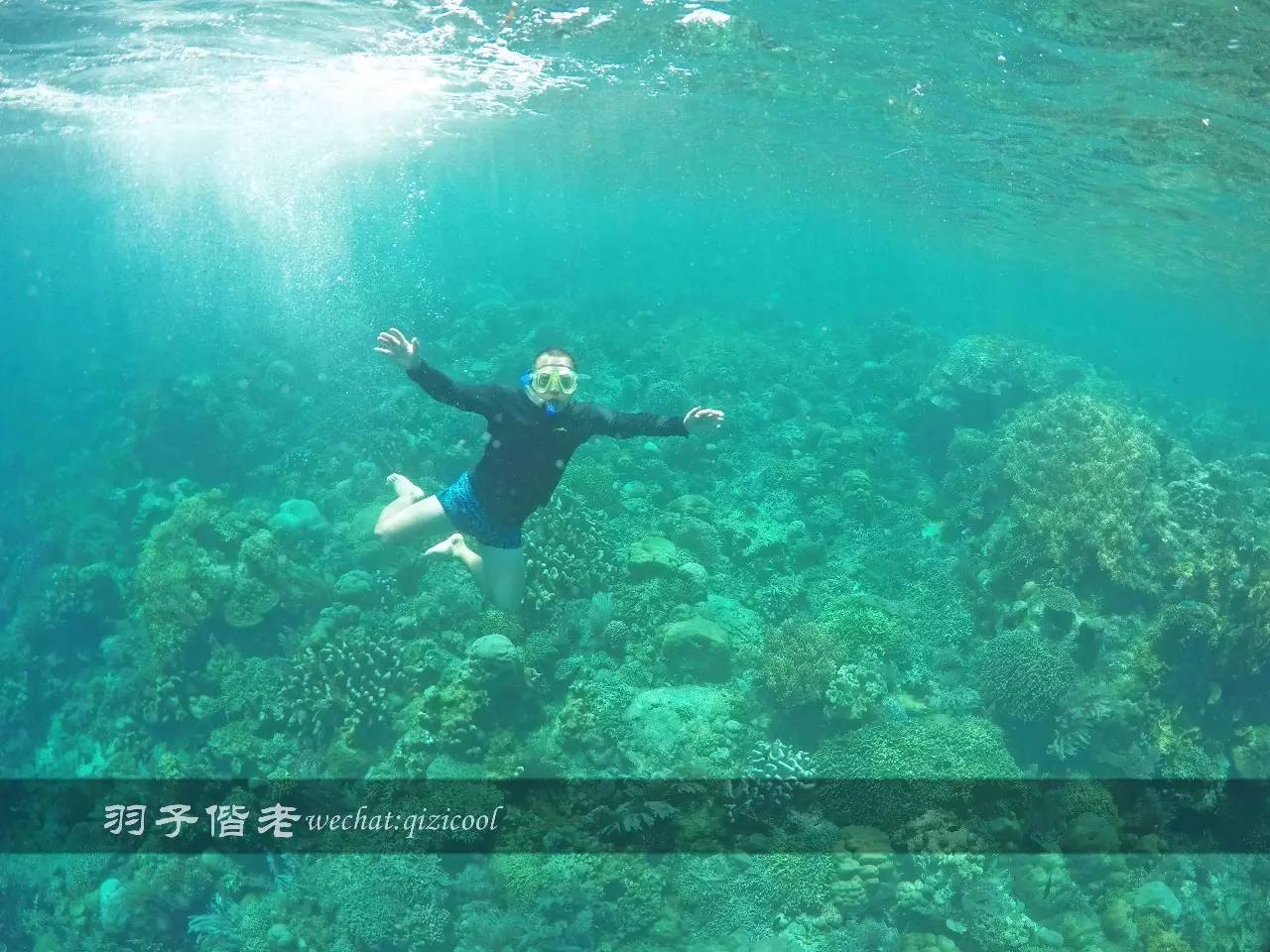 印尼美娜多旅游潜水攻略,印尼美娜多潜水圣地