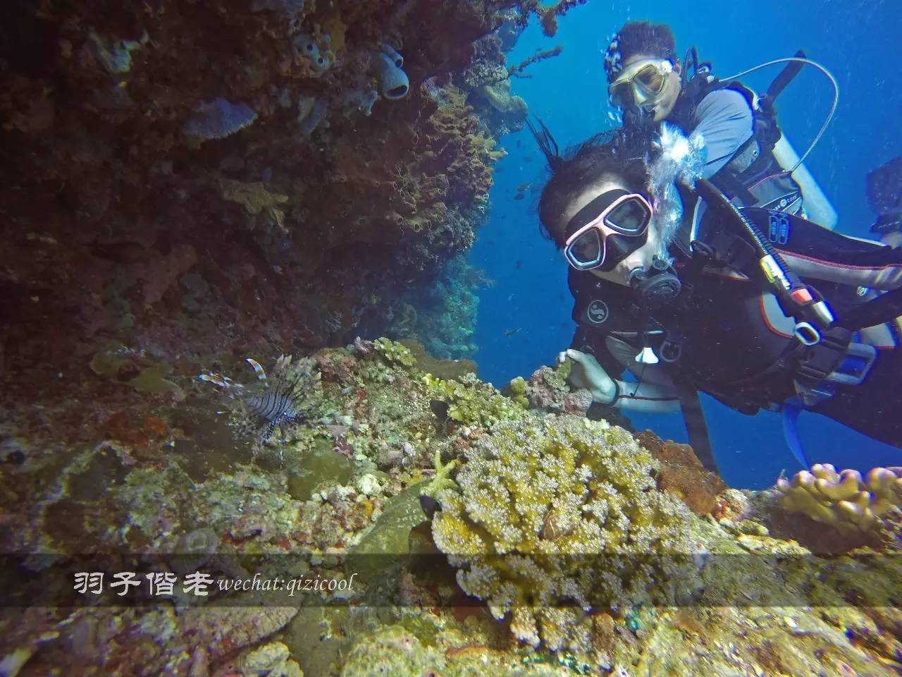 印尼美娜多旅游潜水攻略,印尼美娜多潜水圣地