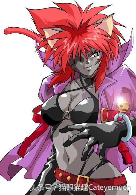 这只猫咪人人想要-二次元的猫咪童年篇