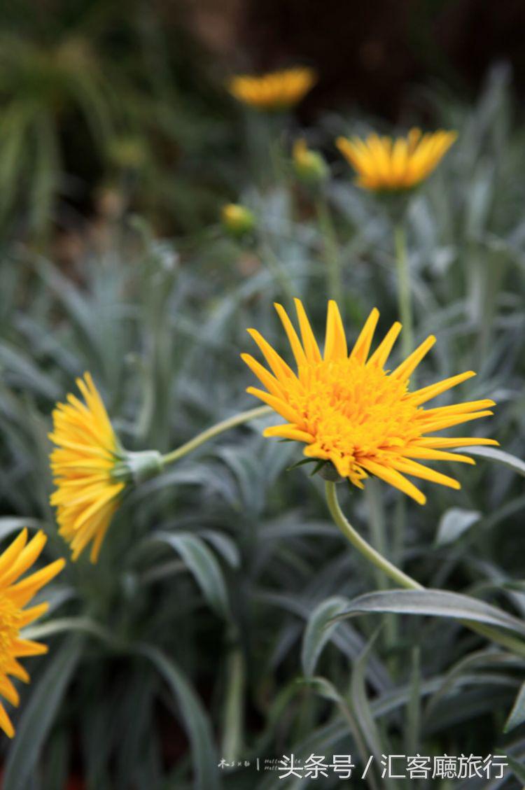 汇客厅2020,狮城新加坡旅游掠影